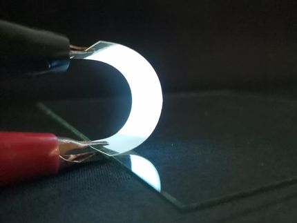 Fischschuppen könnten tragbare Elektronik nachhaltiger machen