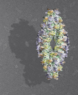 Innenleben eines Giganten