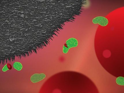 Las nanoplataformas de grafito en los dispositivos médicos matan las bacterias y previenen las infecciones