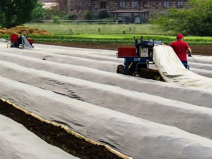 #WirVsVirus: Neue Studierenden-App will Freiwillige als Erntehelfer vermitteln