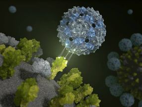 Phage capsid contra la gripe