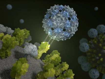 Phagen-Kapsid gegen Influenza