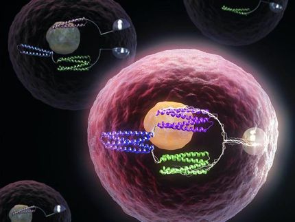 Zellen zu Computern mit Protein-Logikgattern machen