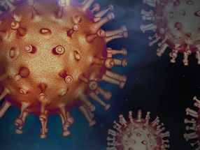 Suche nach Heilung von COVID: Vielversprechenden ersten Schritt in der antiviralen Behandlung gefunden