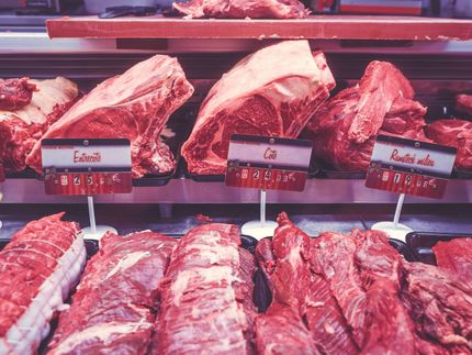 STUDIE: Beim Fleischkauf spielt mehr Tierschutz keine größere Rolle