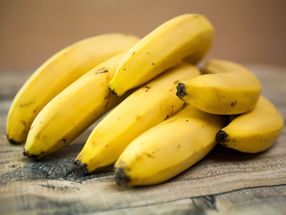 Fairer Bananenhandel in Zeiten der Pandemie