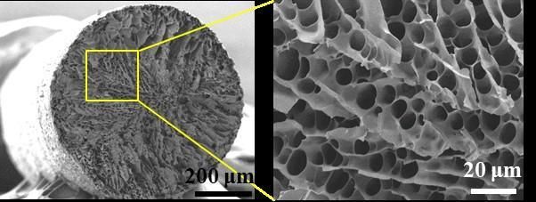 New textile could keep you cool in the heat, warm in the cold - Same fabric  can perform both functions