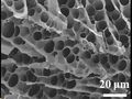 New textile could keep you cool in the heat, warm in the cold