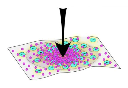 Unter Druck: Neues bioinspiriertes Material kann sich durch äußere Kräfte 'formen'