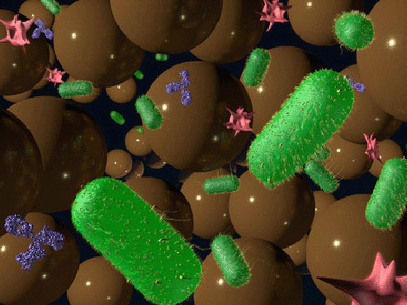 Forscher bauen Mikro-Gerät zum Nachweis von Bakterien und Viren