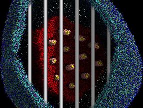 Simulations show how to make gene therapy more effective