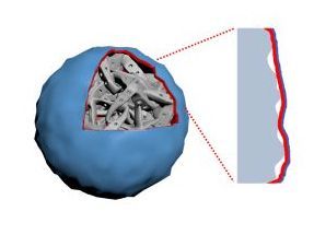 High-performance electrolyte solves battery puzzle