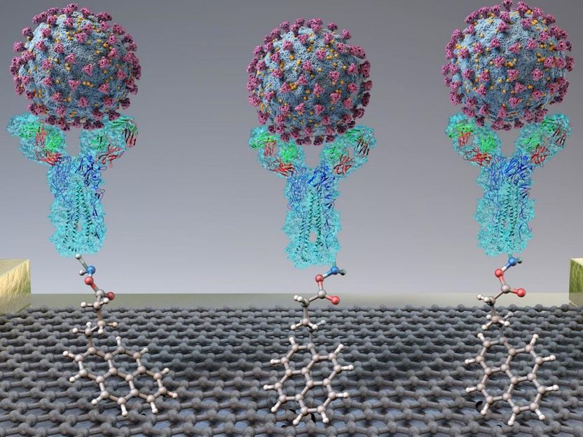 Adapted from ACS Nano 2020, DOI: 10.1021/acsnano.0c02823