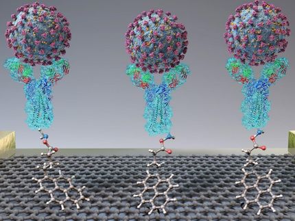 El biosensor de diagnóstico detecta rápidamente el SARS-CoV-2 a partir de hisopos nasofaríngeos