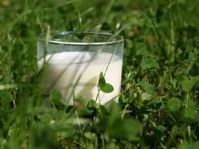 Arla Foods amba confirms May milk price