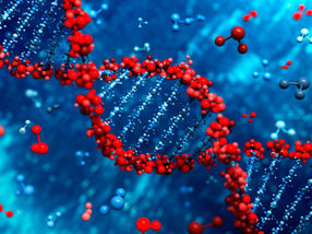 El CSIC lanza un estudio genético para identificar el riesgo individual de desarrollar formas graves de Covid-19