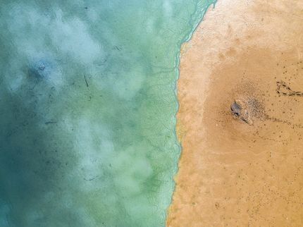 Investigadores del CSIC emplean bacterias para reducir el mercurio acumulado en los sedimentos marinos