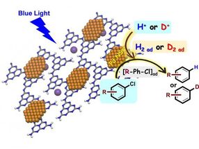 Visible light-photocatalytic water-splitting for hydrogenation of aryl chlorides