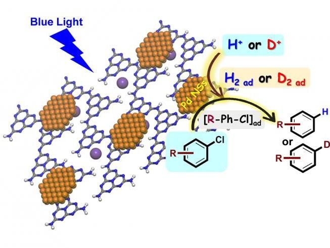 ©Science China Press