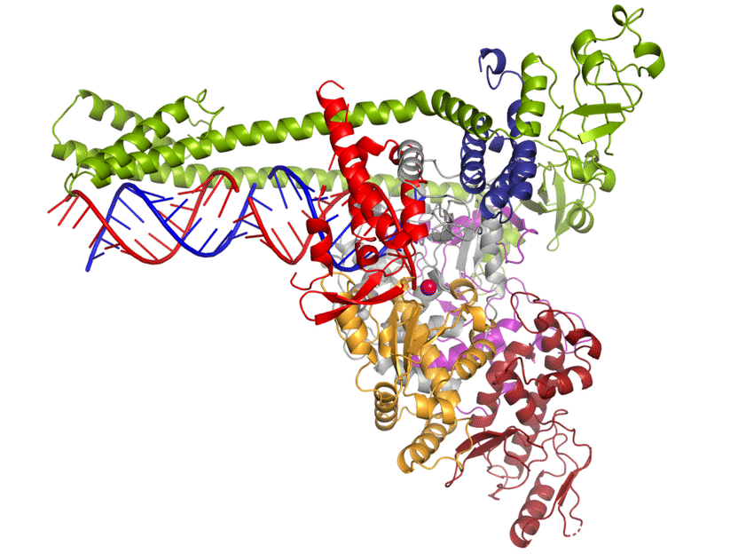 © Lucas Farnung, Christian Dienemann, Hauke Hillen / Max-Planck-Institut für biophysikalische Chemie