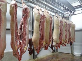 Pork farmers requesting government help to continue producing food