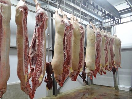 Canadian Pork Council