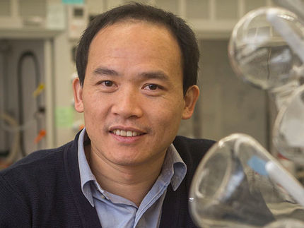 New structure for promising class of materials discovered