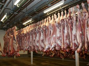 Meatpackers cautiously reopen plants amid coronavirus fears