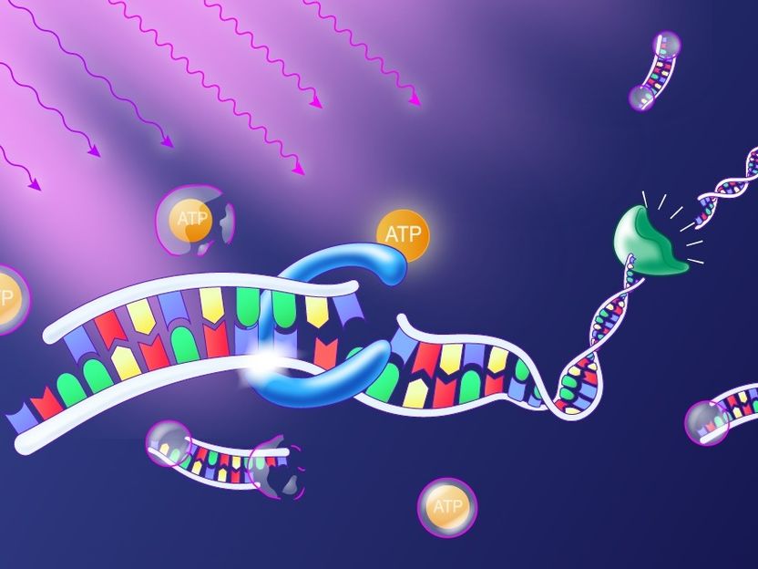 Programming with the Light Switch - How to control individual components of self-assembling molecular structures