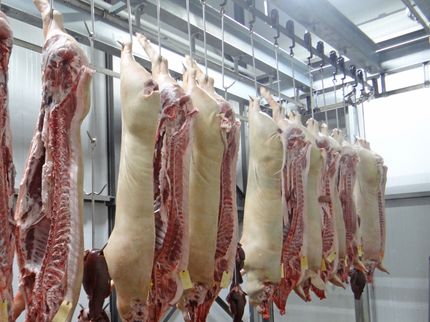 Jetzt 109 Schlachthofmitarbeiter mit Coronavirus infiziert