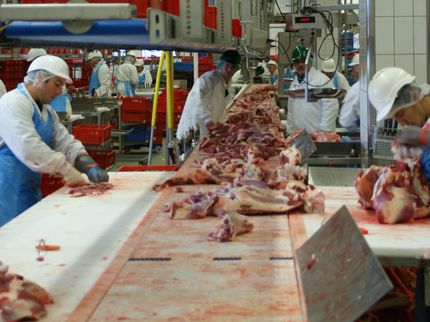 Schlachthof-Unterkünfte in der Kritik