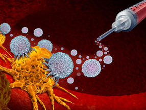 Eliminación más selectiva de las células madre de la leucemia y de las células madre de la sangre