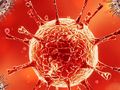 Corona-Pandemie: Blutverdünner können Überlebenschancen erhöhen