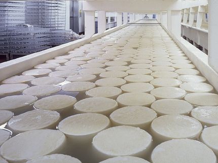 Tetra Pak lanza la primera línea completa de producción de queso fresco