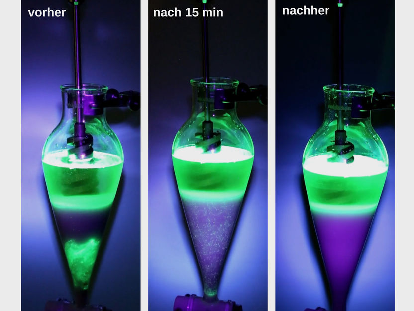 When every particle counts - Comprehensive guidelines for microplastic extraction from environmental samples developed