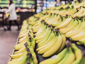Gelb und gut: Auf dem Weg zur besseren Banane