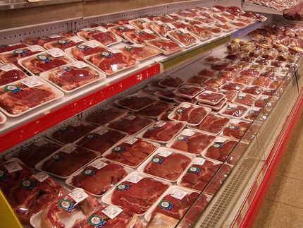 Billigfleisch ist enormes Risiko für weitere Pandemien