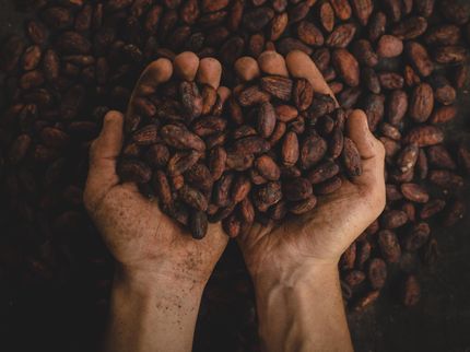 Mondelēz International Accelerates Progress in Delivering against its Sustainability and Well-being Goals