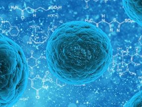 Las bacterias podrían ser el origen de un compuesto clave en la evolución celular de los organismos complejos
