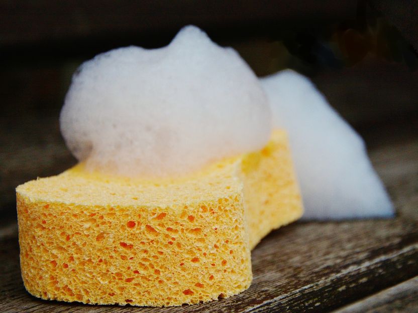Un microbioma de esponja de cocina: Lo que no te mata, te hace más fuerte!  - ¿Es buena idea limpiar la esponja calentándola en el microondas?