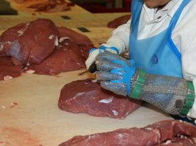 Verbot von Werkverträgen in der Fleischwirtschaft
