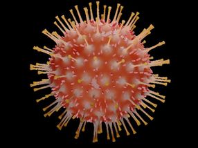 Un equipo del CSIC busca una vacuna para Covid-19 que usa un antígeno del coronavirus para estimular la inmunidad