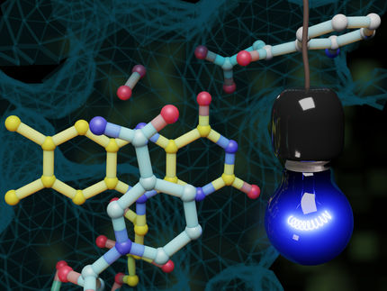 Enzym setzt durch Licht neuartige, bisher unbekannte Reaktion in Gang