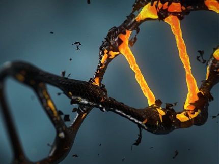 Gene editing: Taming CRISPR’s collateral damage