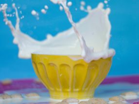 Milch – die gestohlene Babynahrung. Schluss mit den Mythen