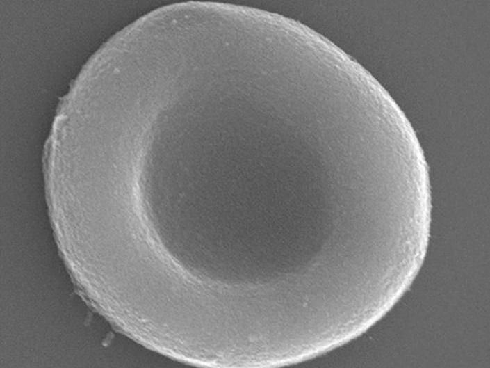 Adapted from ACS Nano 2020, DOI: 10.1021/acsnano.9b08714