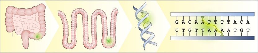 © MPI f. Infection Biology 