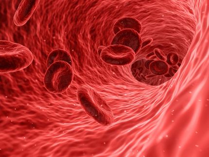 How a microRNA protects vascular integrity