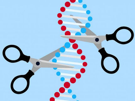 Investigadores del CSIC utilizarán las herramientas CRISPR para destruir el genoma del coronavirus de Covid-19