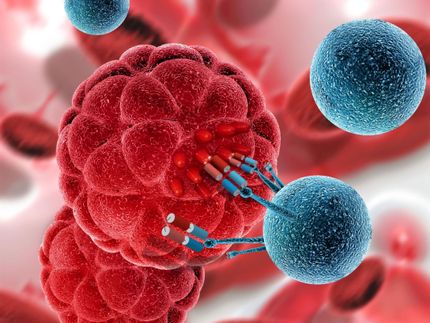 Radioresistant cancer cells can be attacked immunotherapeutically with UniCAR T cells